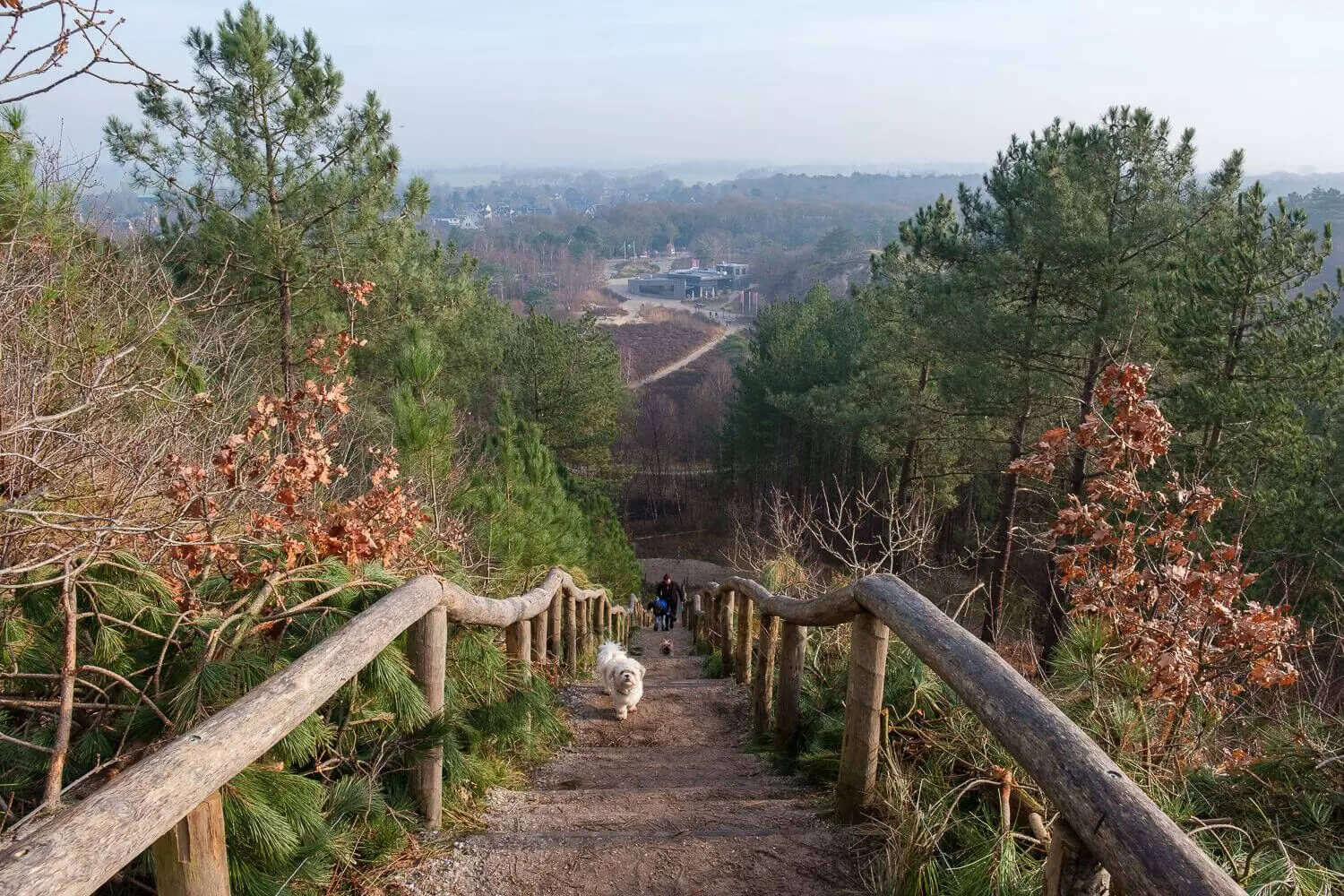 schoorlse duinen losloopgebied noord holland welkoop